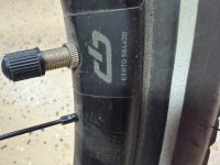 IMG_2607.jpeg