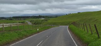 1779389403566.jpeg