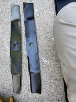 IMG_2508.jpeg