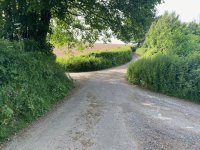 IMG_2609.jpeg