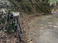 IMG_2652.jpeg