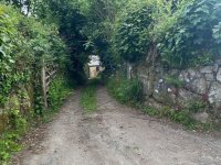 IMG_2709.jpeg