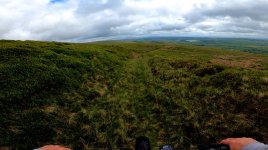 gisb16.jpg