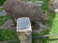 IMG_2735.jpeg