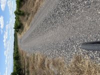 IMG_2374.jpeg
