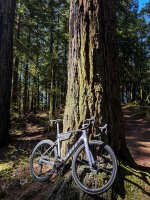 4172-scottRedwood.jpg