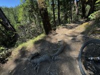 IMG_9638 copy 2.jpg