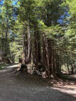IMG_9633 copy 2.jpg
