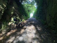 IMG_2819.jpeg