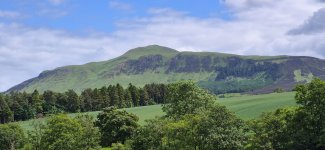 1781524195859.jpeg