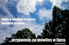 1782714835757.png