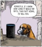 DOG ALEXIA-.jpg