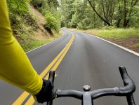 4495-redwoods.jpg