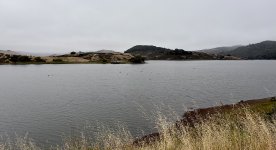 4497-res.jpg