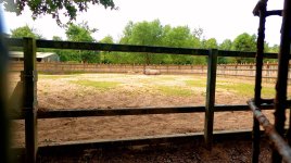 zoo12.jpg