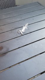 20260707_200148.jpg