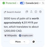 Screenshot_20260711_014427_DuckDuckGo.jpg