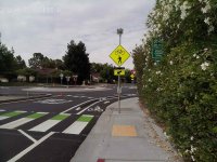 What Streets Should Look Like d.jpg
