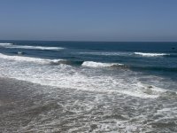 IMG_0233.jpeg