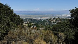IMG_0659 copy.jpg