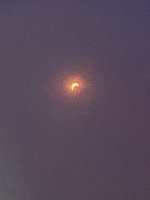 IMG_3503.jpeg