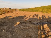 IMG_3515.jpeg