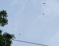 20260811_182806.jpg
