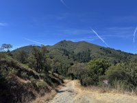 IMG_1052 copy.jpg