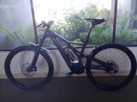 Levo Carbon.jpg