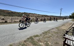 IMG_1372 copy.jpg