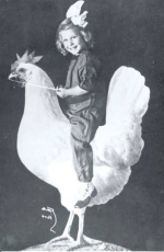 1789011276629.png