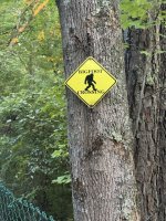 IMG_6944.jpeg