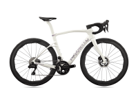 27 Dogma X (Custom).png