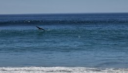 20261003_133813.jpg