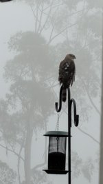 IMG_7383.jpeg