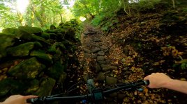 BEH3.jpg