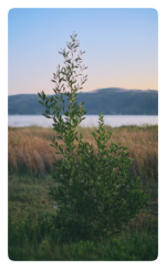 IMG_8107 Large.png