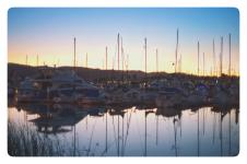 IMG_8104 Large.png