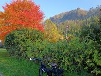 IMG_20261020_161028001.jpg