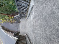 IMG_20261020_135350479.jpg