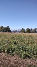IMG_20261022_131748778.jpg