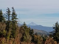 IMG_20261024_144438687.jpg