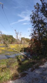 IMG_20261025_111813933.jpg