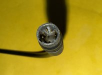 IMG_8488.jpeg