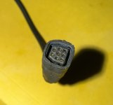 IMG_8489.jpeg
