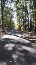 IMG_20261028_130254771.jpg