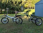 electric bike utility trailer.jpg