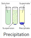 Precipitation_of_Metal_in_Electrolyte_Solution.png