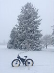 snowbiking.jpg