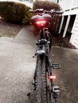 DJ Bike lights rear (Large).jpg